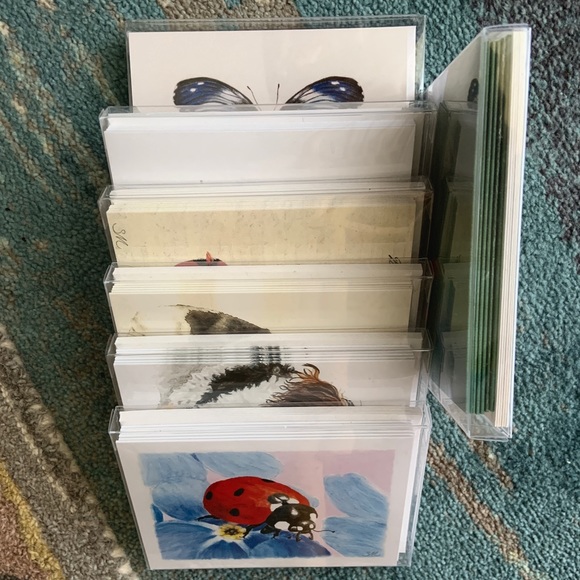 Boxed Set of 6 Pumpkin Notecards Cards - Picture 3 of 4